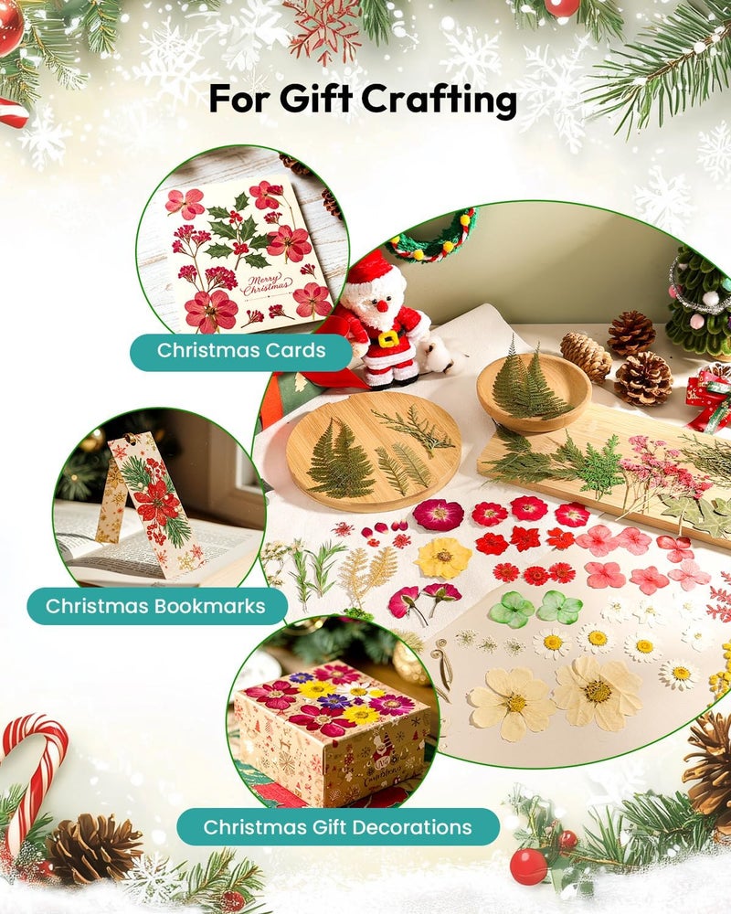 Resiners Dried Flowers, 6 Pack Pressed Flowers for Christmas Craft 100% Real Natural Dried Flowers Kits for Christmas DIY Making Crafts Resin Soap Candle Making Jewelry Scrapbook Supplies Card - Image 2